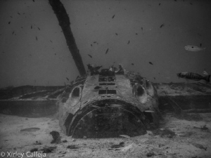 the bristol beaufighter WWII plane wreck by Shirley Calleja 